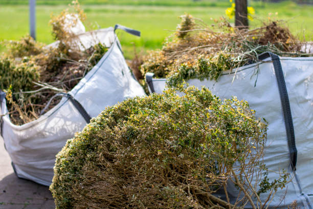 Best Junk Hauling Services  in Belmont, CA